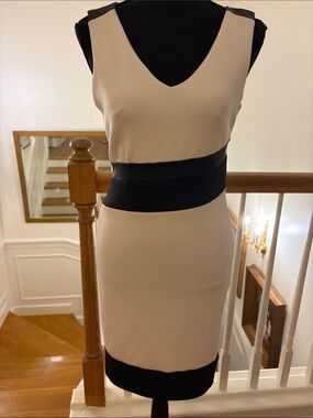 Thalia Sodi white and Black V-Neck Colorblock Sheath Dress XS